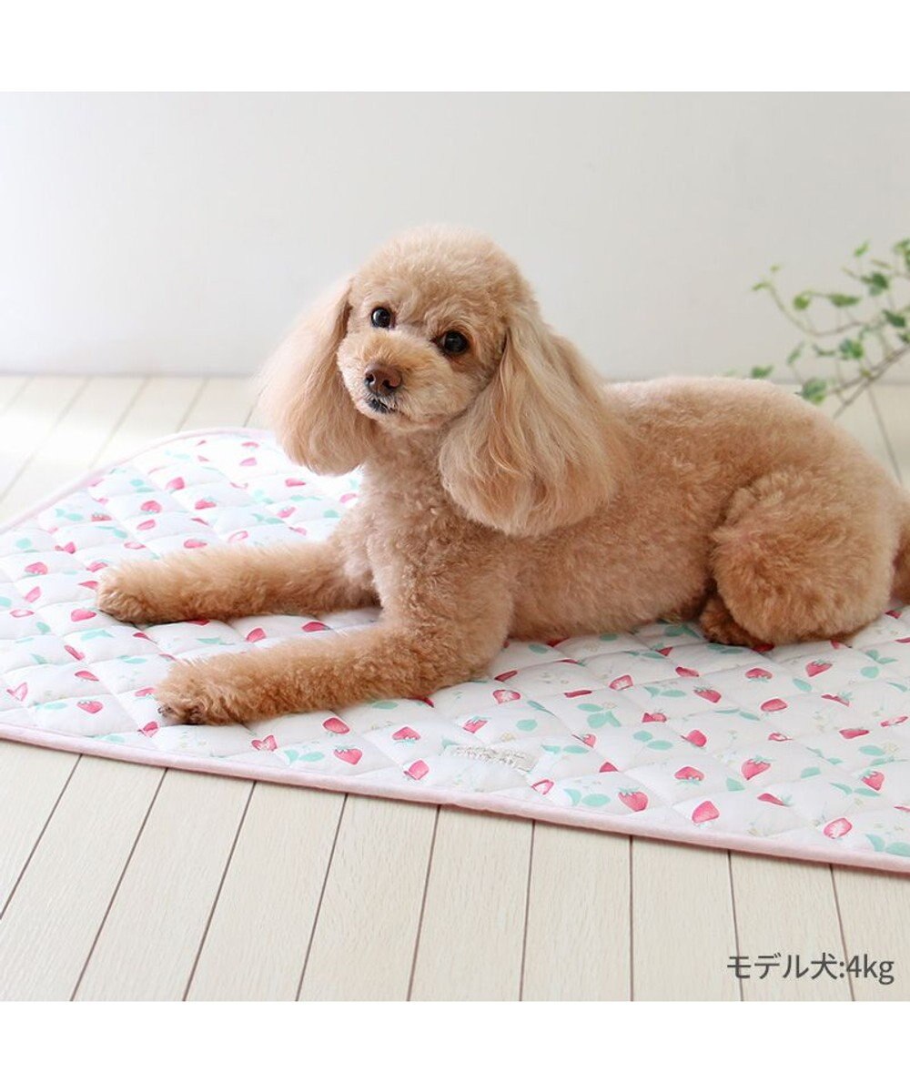 PET PARADISE ペットパラダイス クール マット 《いちご＆お花柄》 90×60㎝ 