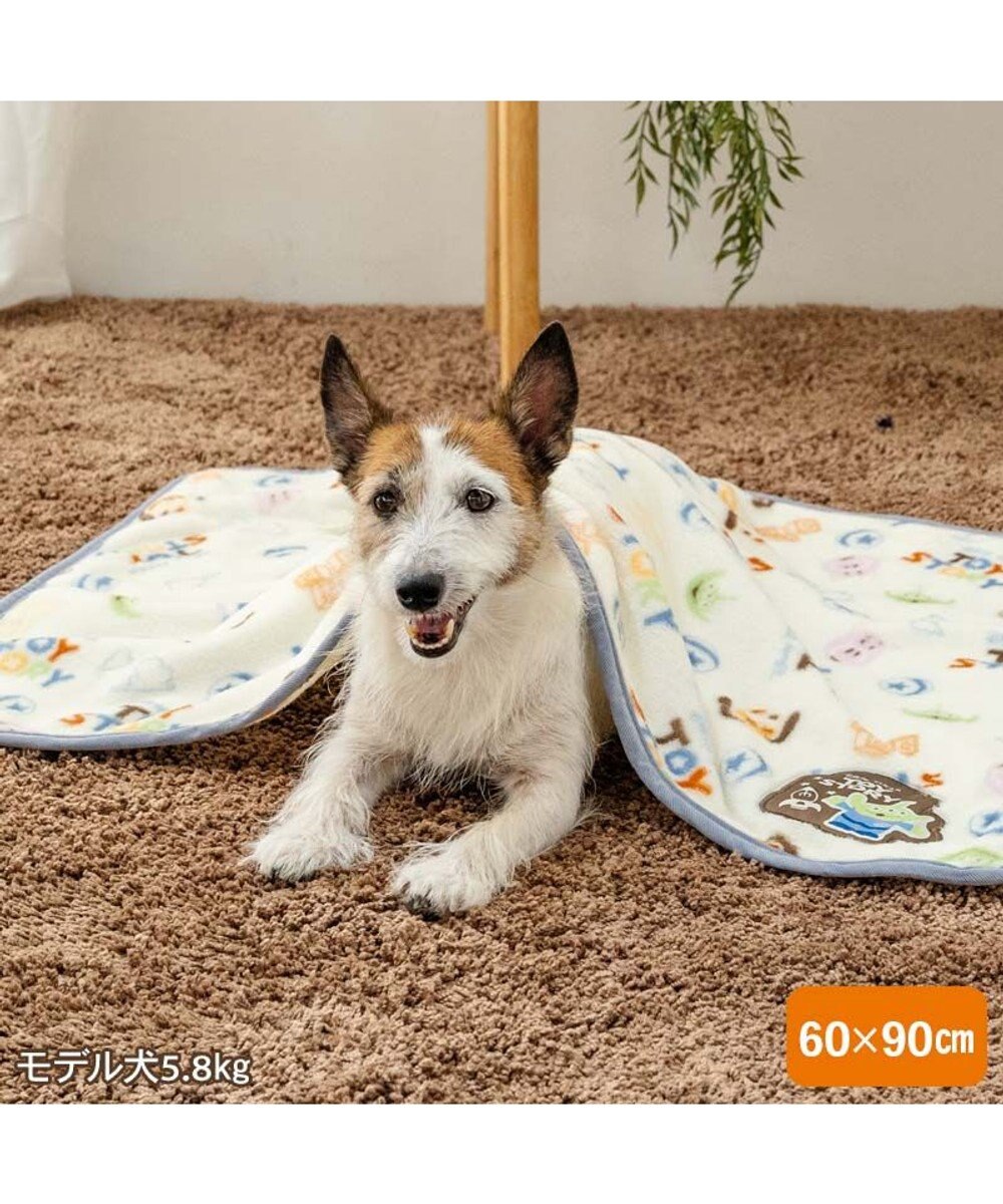 PET PARADISE ディズニー トイ・ストーリー ボア ブランケット 《総柄》 