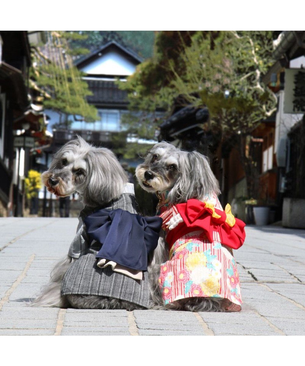 PET PARADISE ペットパラダイス 黒白 浴衣 とんぼ刺繍 中型犬 大型犬 