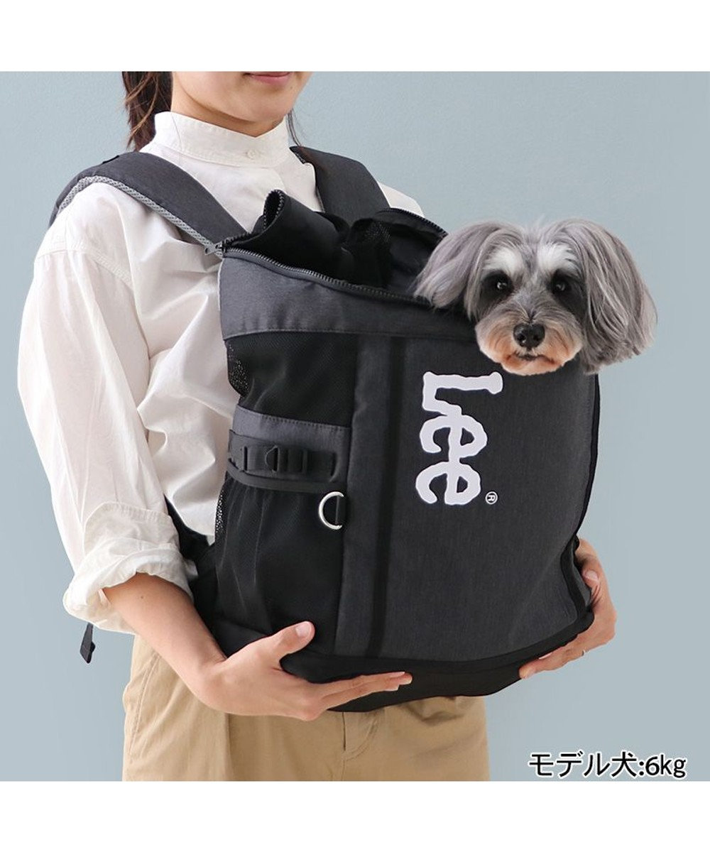 PET PARADISE Lee スクエアリュック キャリーバッグ 《ブラック》 小型犬 