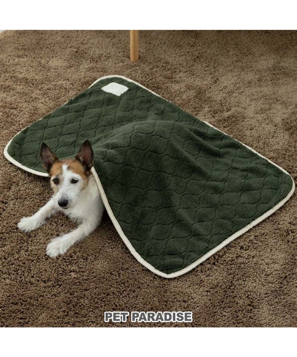PET PARADISE ペットパラダイス ブランケット 《オニオン柄》 