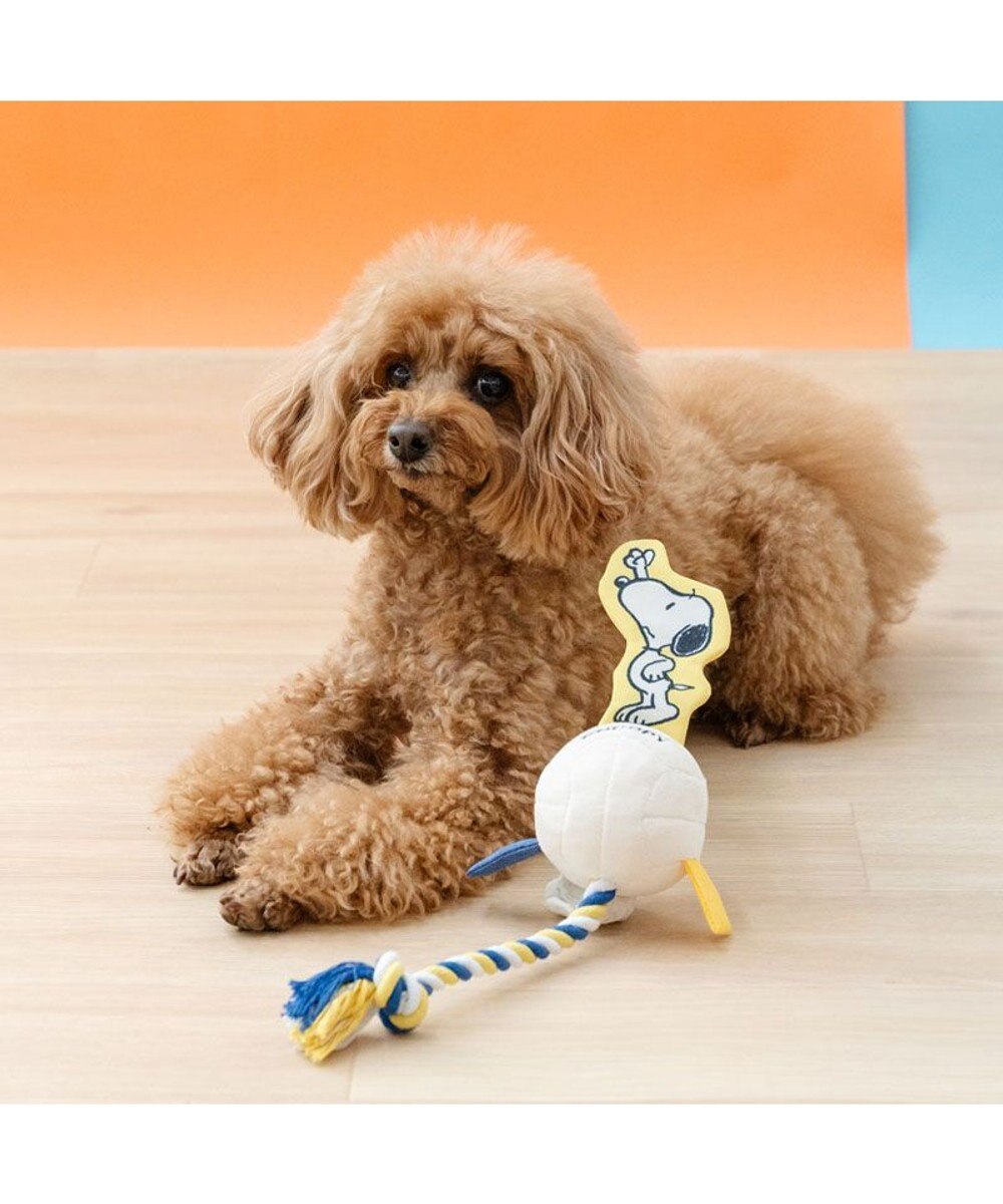 PET PARADISE スヌーピー パリパリバレーボールトイ 