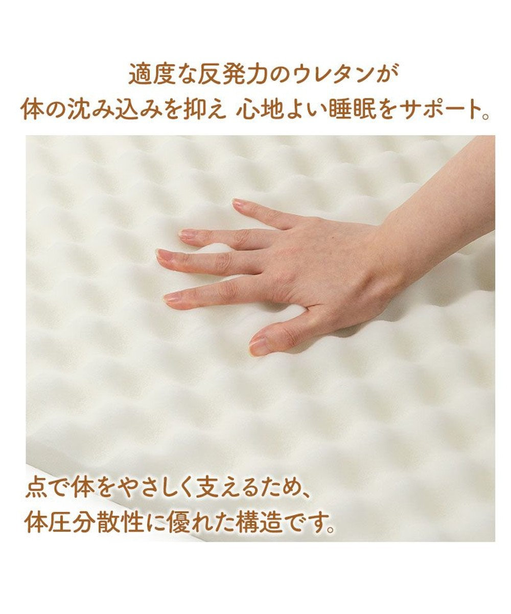 PET PARADISE ペットパラダイス makokoro シニアベッド 《犬柄》 Ｍ 