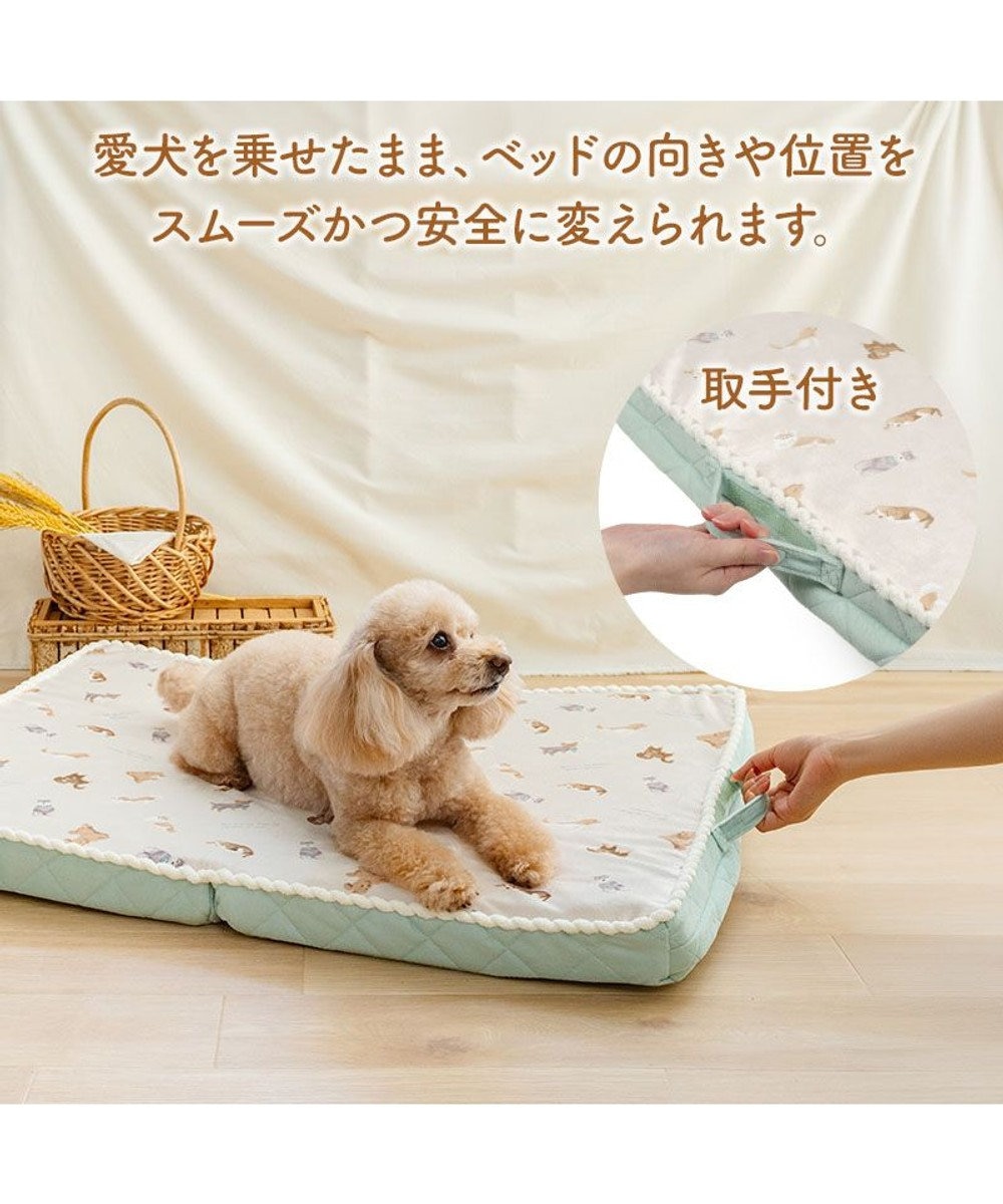 PET PARADISE ペットパラダイス makokoro シニアベッド 《犬柄》 Ｍ 