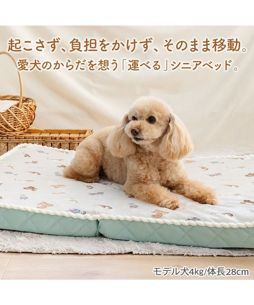 PET PARADISE ペットパラダイス makokoro シニアベッド 《犬柄》 Ｍ 