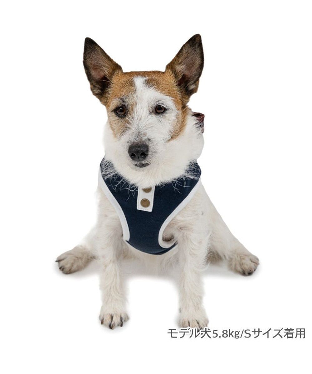 PET PARADISE ペットパラダイス ライン入りリュック付き ハーネス ３Ｓ 小型犬 