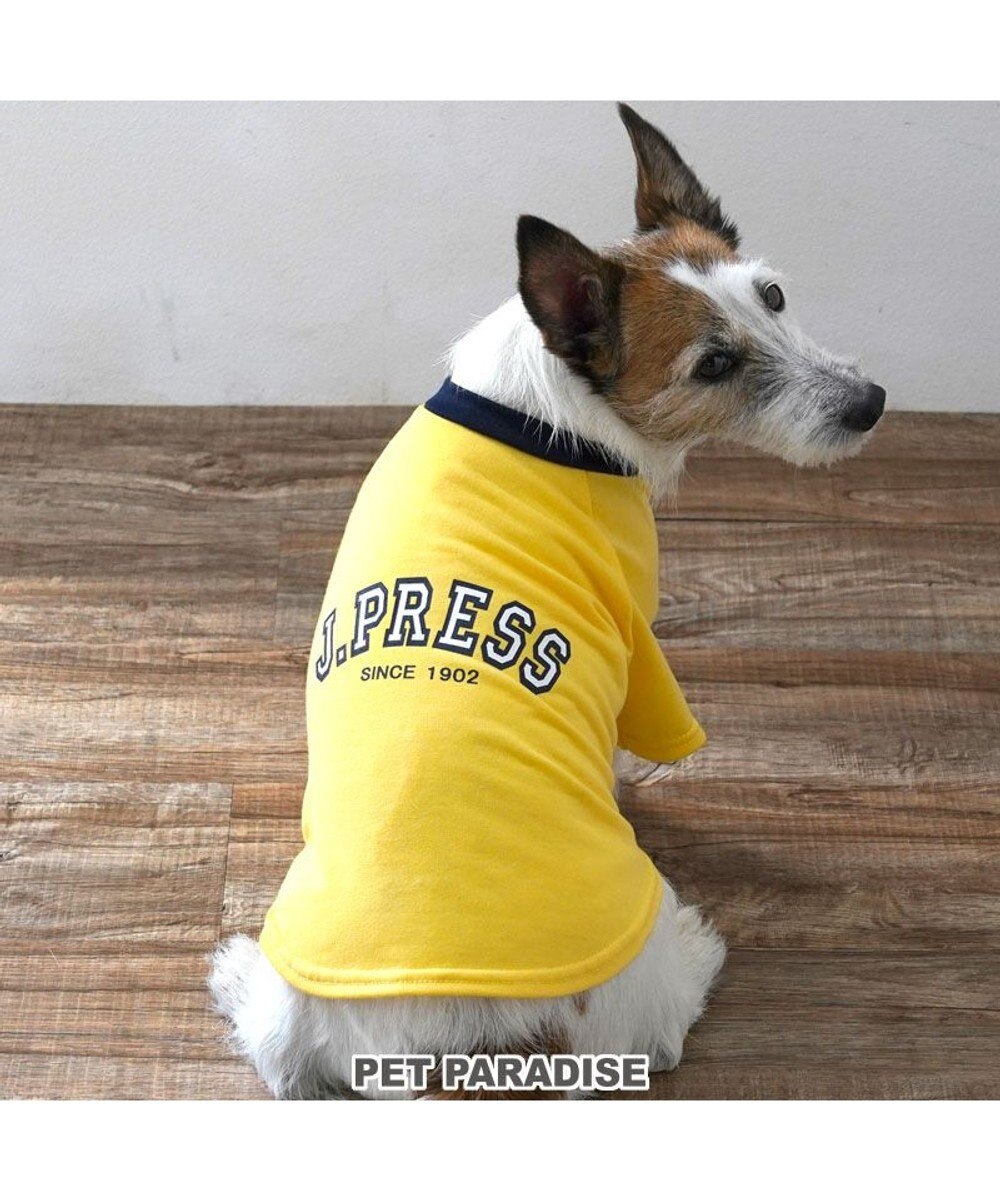 PET PARADISE J.PRESS カレッジ Ｔシャツ 小型犬 