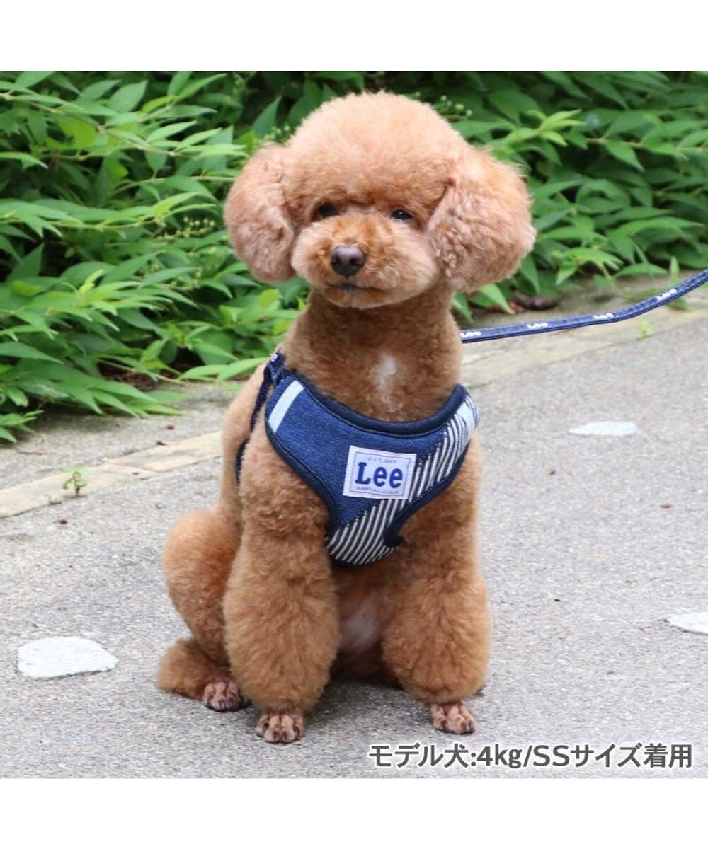 PET PARADISE Lee パッチワーク ハーネス＆リード Ｓ 