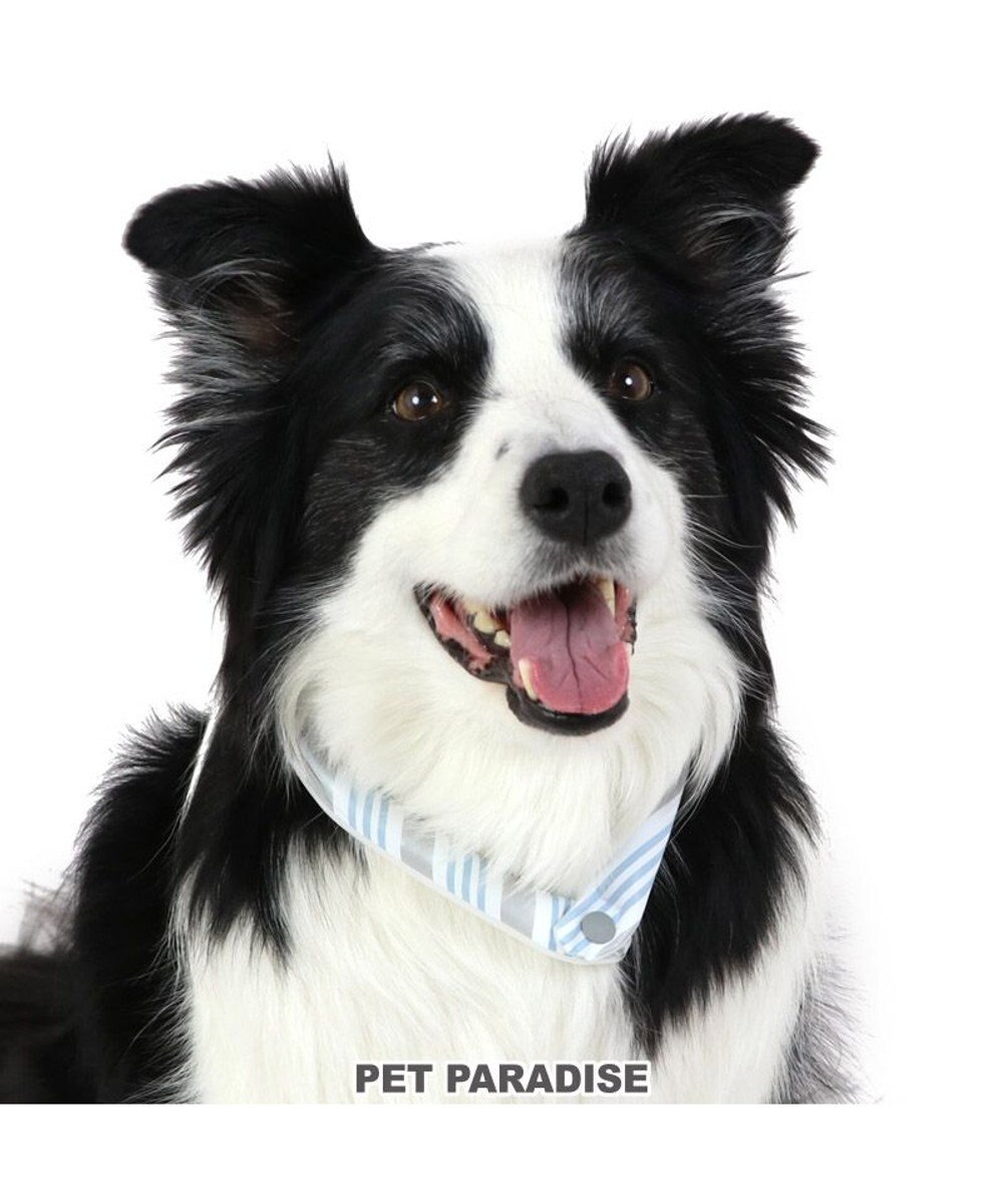 PET PARADISE クールリング 犬 クールネック ひんやり 28℃クールリング 【Ｍ】 リフレクター 水色 ベージュ 反射材付き 