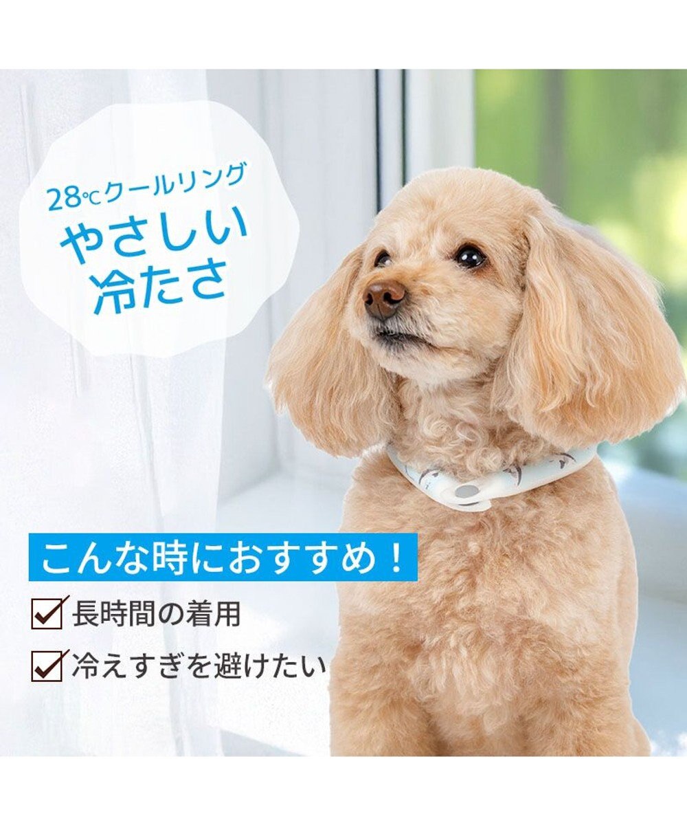 PET PARADISE ペットパラダイス ２８℃ クールリング ＳＳ 《サメ柄》 