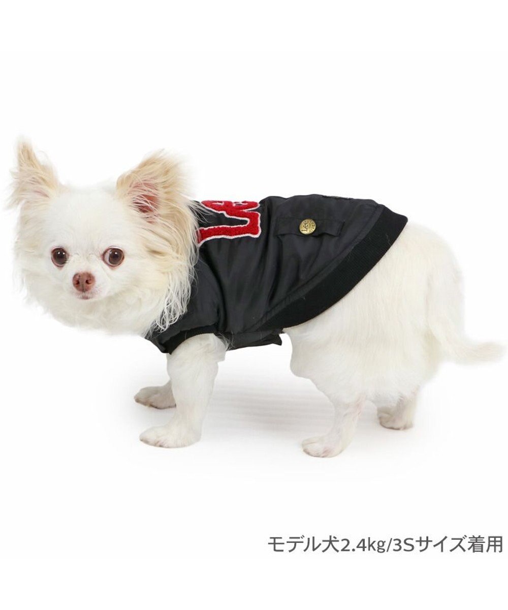 PET PARADISE Lee サガラ刺繍 ブルゾン 小型犬 