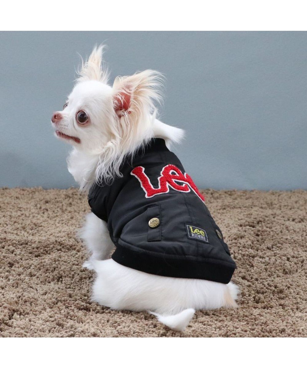PET PARADISE Lee サガラ刺繍 ブルゾン 小型犬 