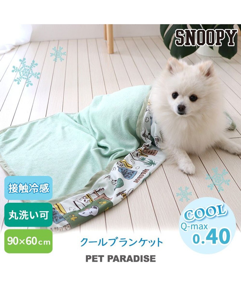 PET PARADISE スヌーピー サーフ柄  クールブランケット (90×60cm) 