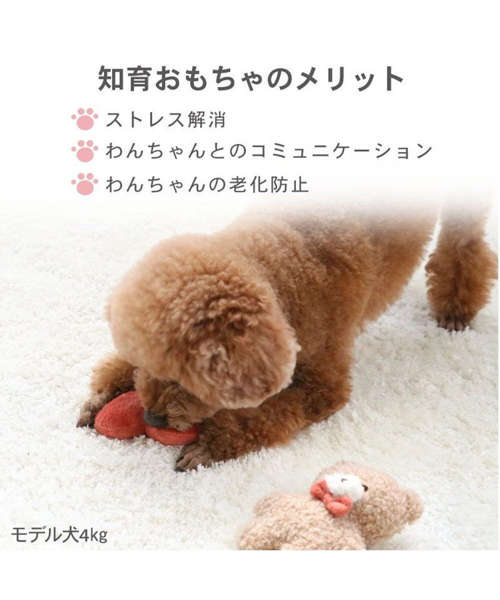 PET PARADISE ペットパラダイス プレゼント トイ 
