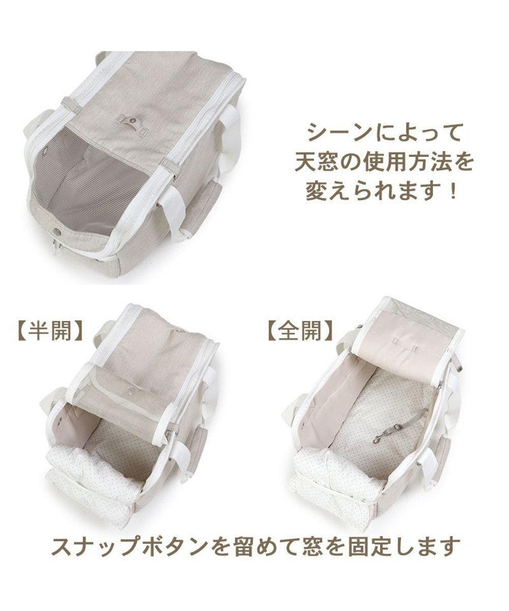 PET PARADISE ペットパラダイス 四角キャリーバッグ  小型犬 パイピング 