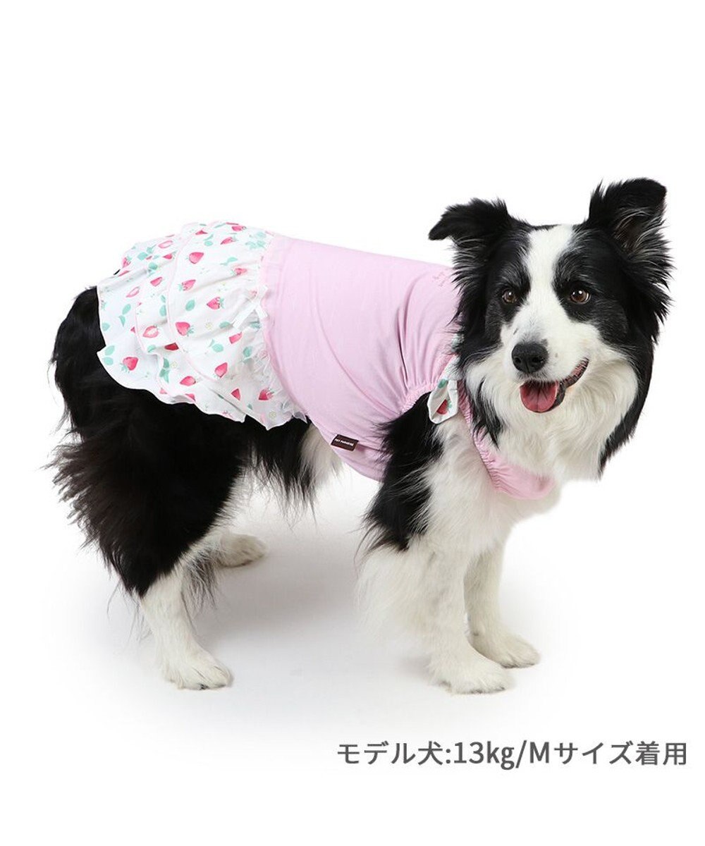 PET PARADISE ペットパラダイス 接触冷感 ワンピース 《いちご柄》 中型犬 大型犬 