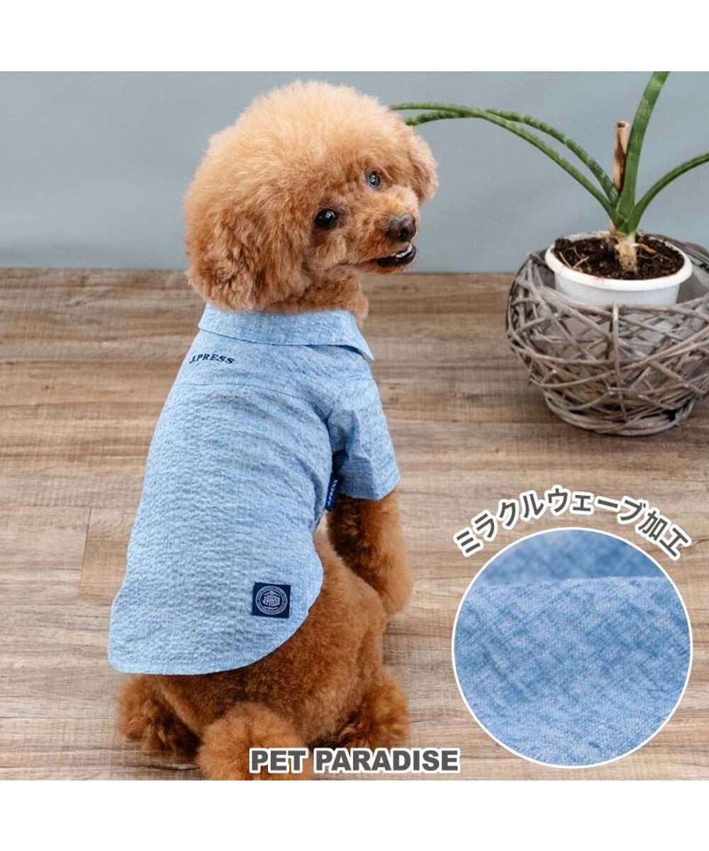 PET PARADISE J.PRESS 杢 ウェーブシャツ 《水色》 小型犬 