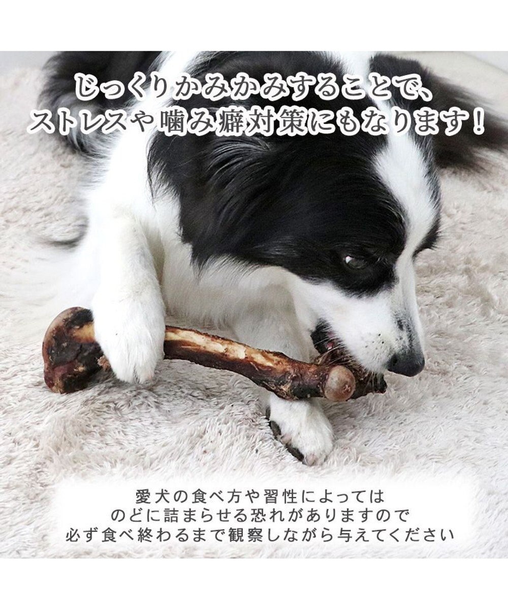 PET PARADISE 鹿 げん骨 デンタルおやつ Lサイズ×1本 純国産 