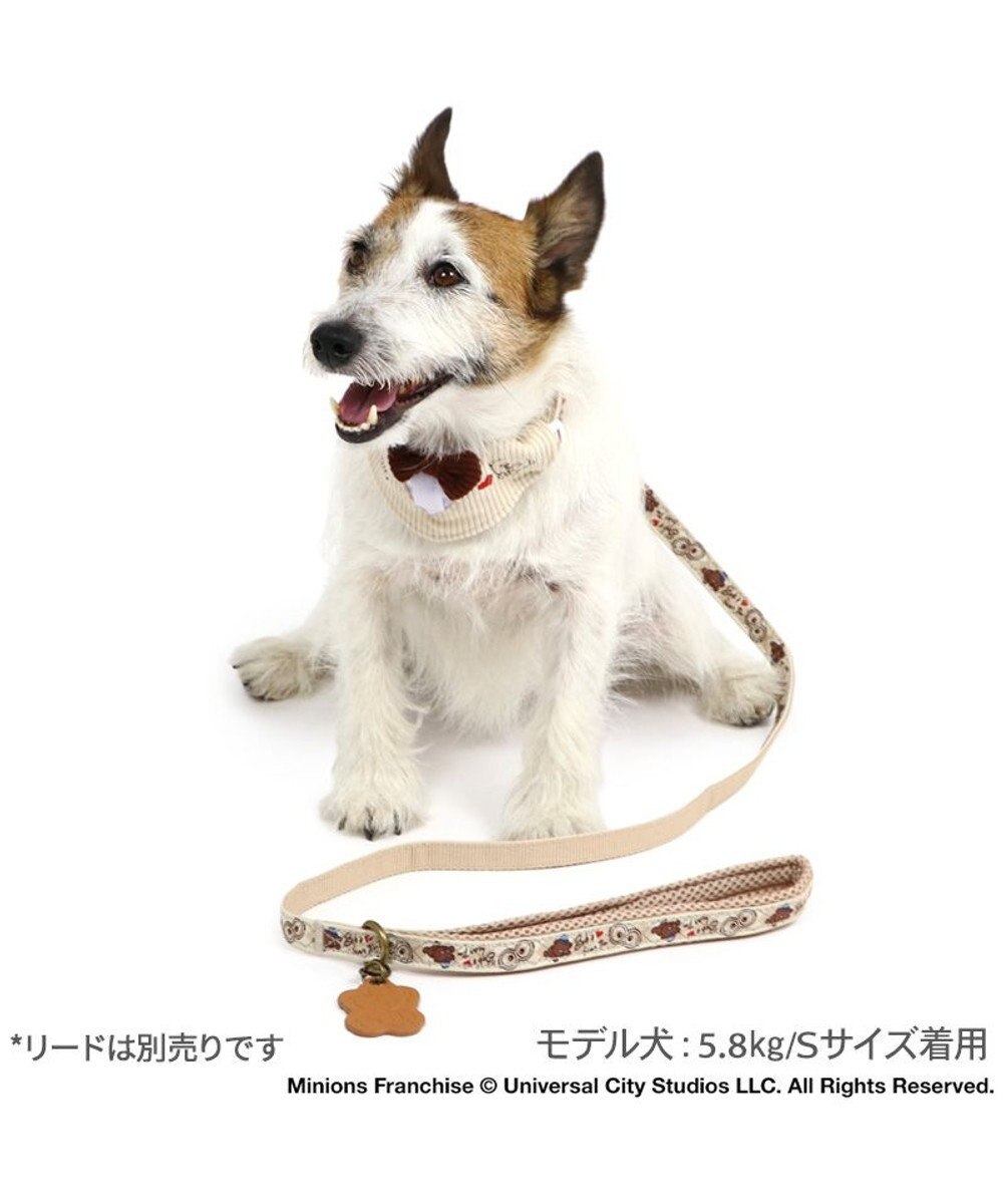PET PARADISE ミニオン ティム アーガイル 首輪 小型犬 SS 