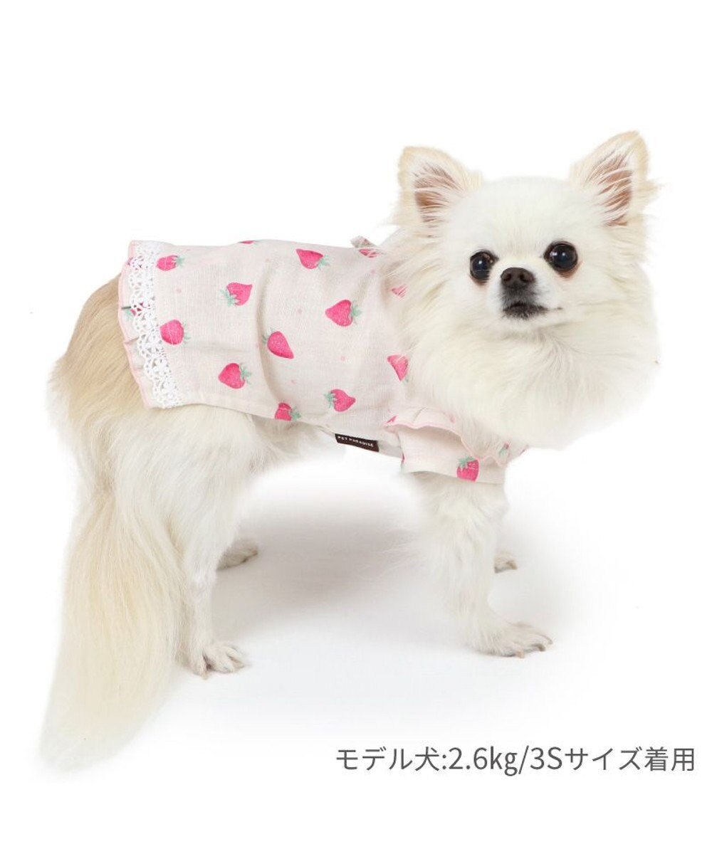 PET PARADISE ペットパラダイス 接触冷感 背中開き 甚平 《いちご柄》　小型犬 