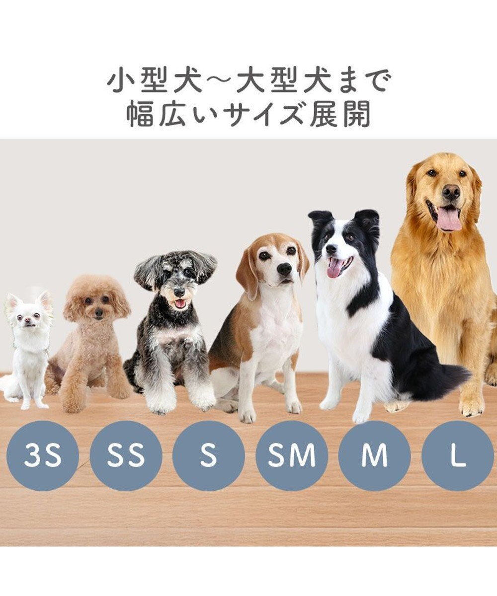 PET PARADISE ペットパラダイス バレエ スリット シューズ  ＳＭ 