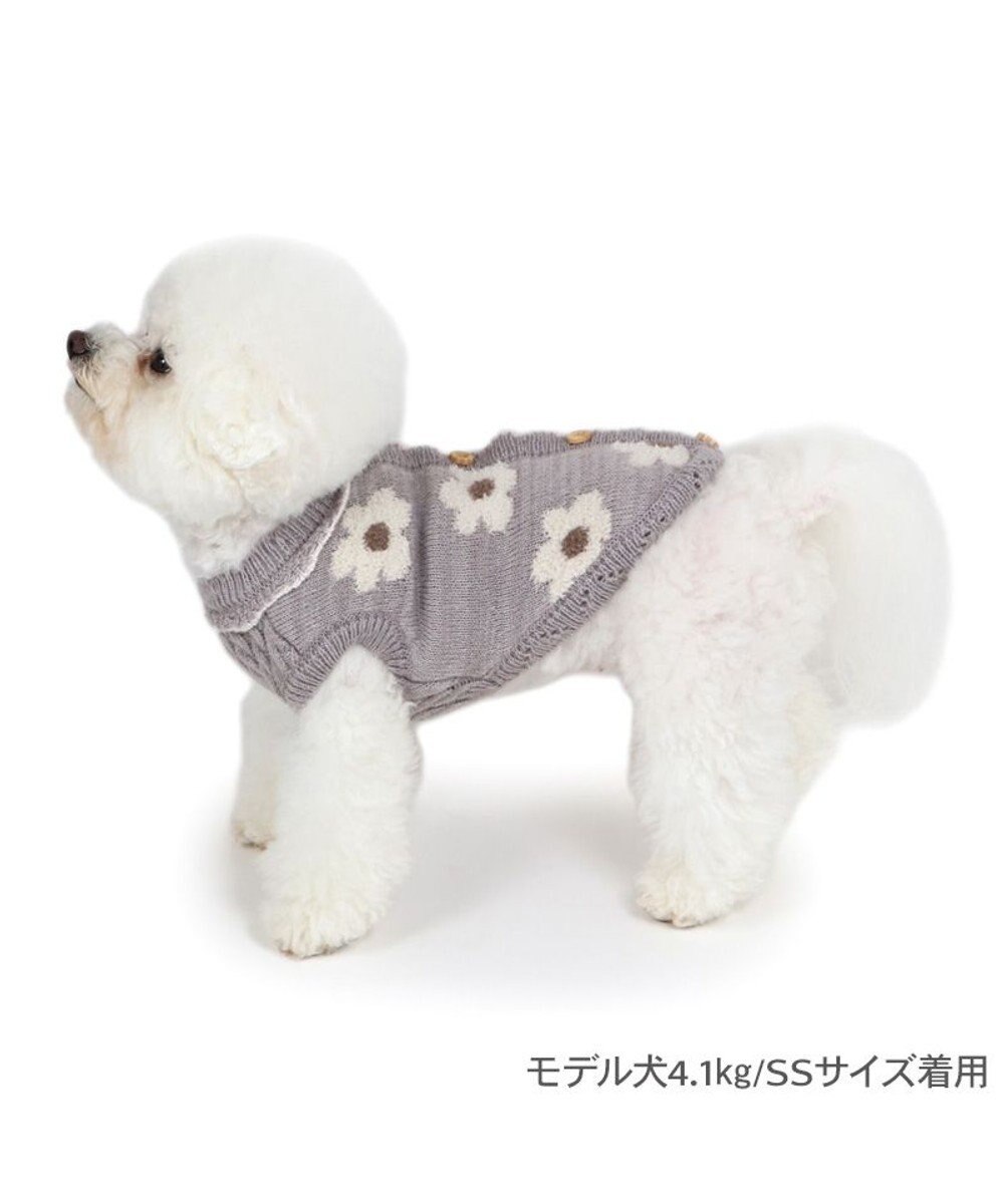 PET PARADISE ペットパラダイス お花もこセーター  超小型犬 小型犬 