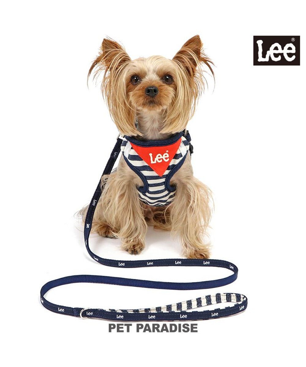 PET PARADISE Lee ハーネス＆リード 《ボーダー》 ＳＳ 小型犬 