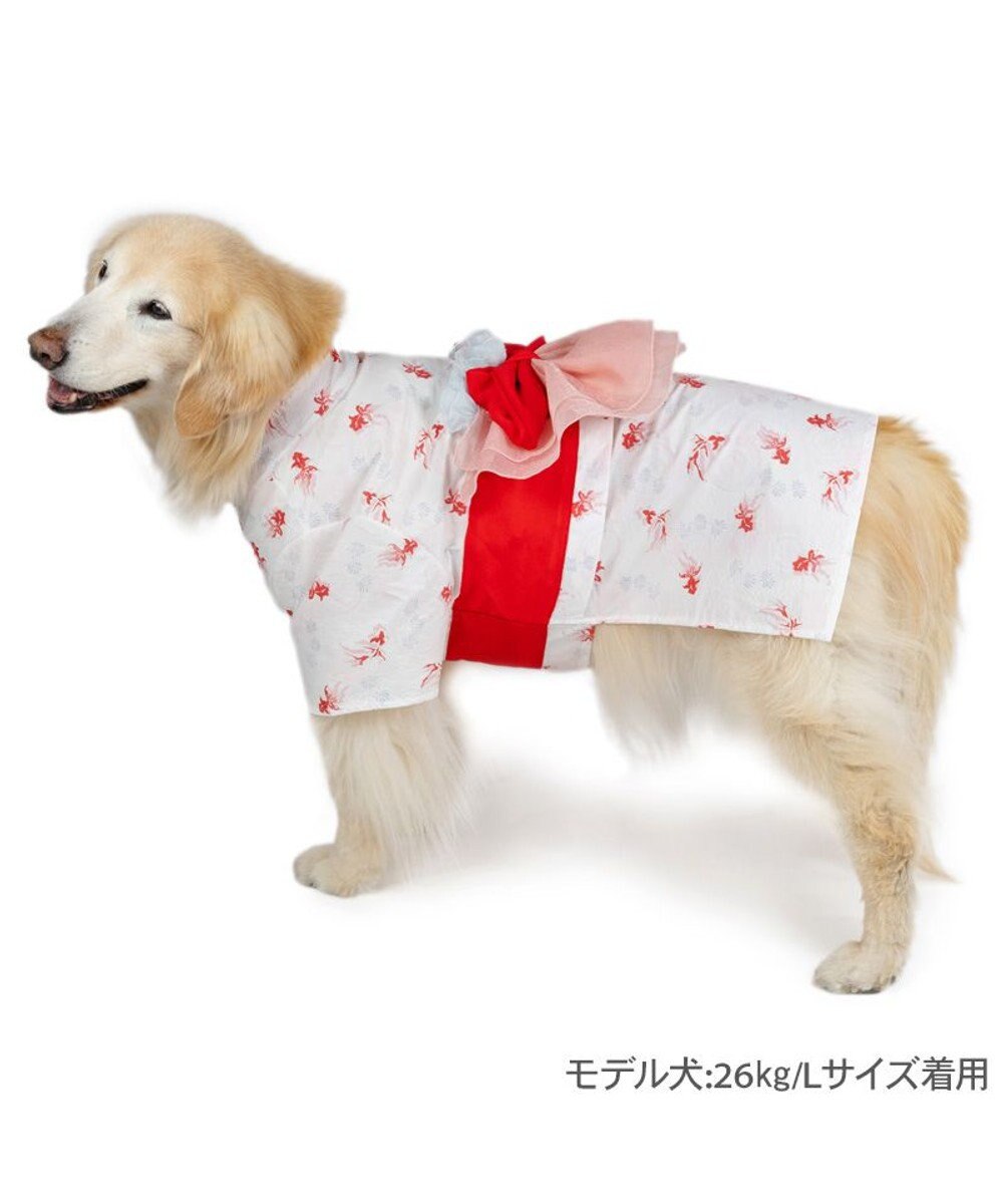 PET PARADISE ペットパラダイス 浴衣 《遊泳金魚》 中型犬 大型犬 