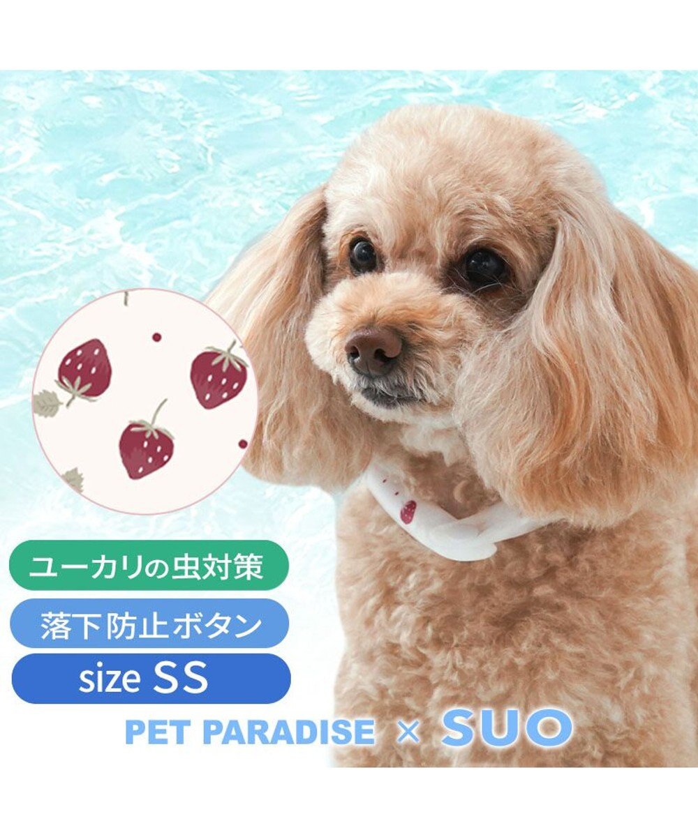 PET PARADISE ペットパラダイス 28℃クールリング  《いちご》 ＳＳ 小型犬 