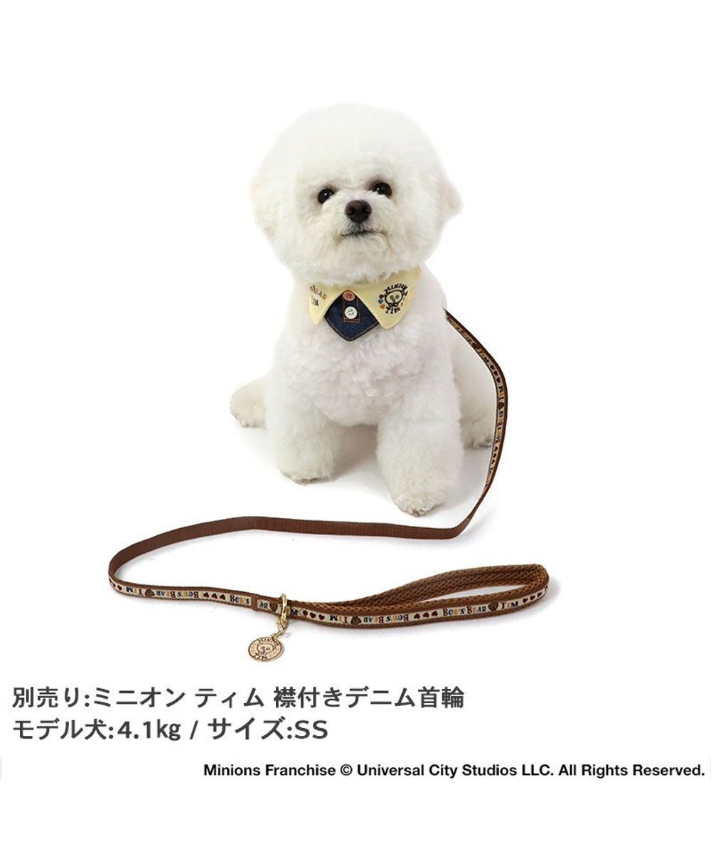PET PARADISE ミニオン ティム リード 【４Ｓ~３Ｓ】 レトロ柄 小型犬 