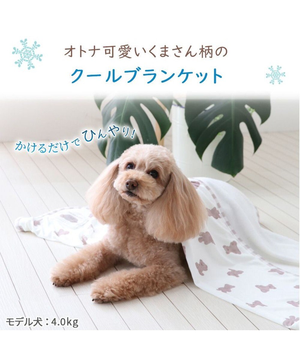 PET PARADISE ペットパラダイス くまちゃん クールブランケット (90×60cm) 