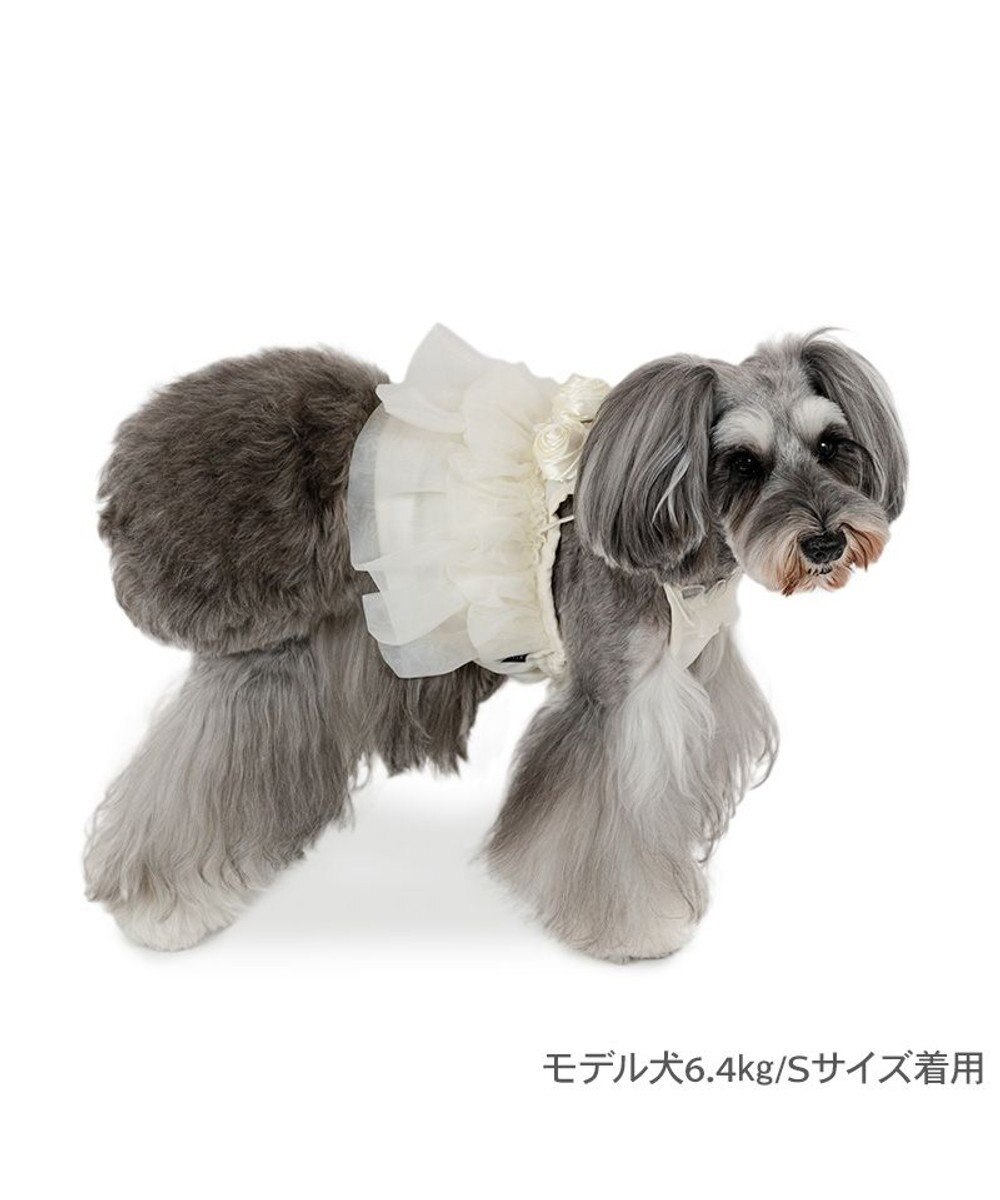 PET PARADISE cherircouture チュールビスチェ 小型犬 