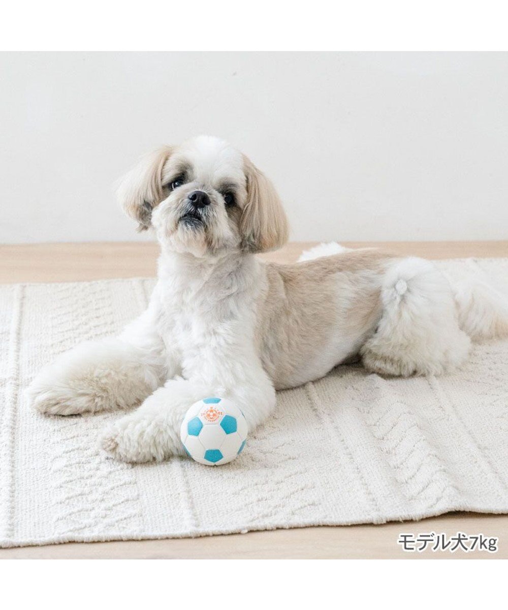 PET PARADISE ペットパラダイス サッカーボール 小 