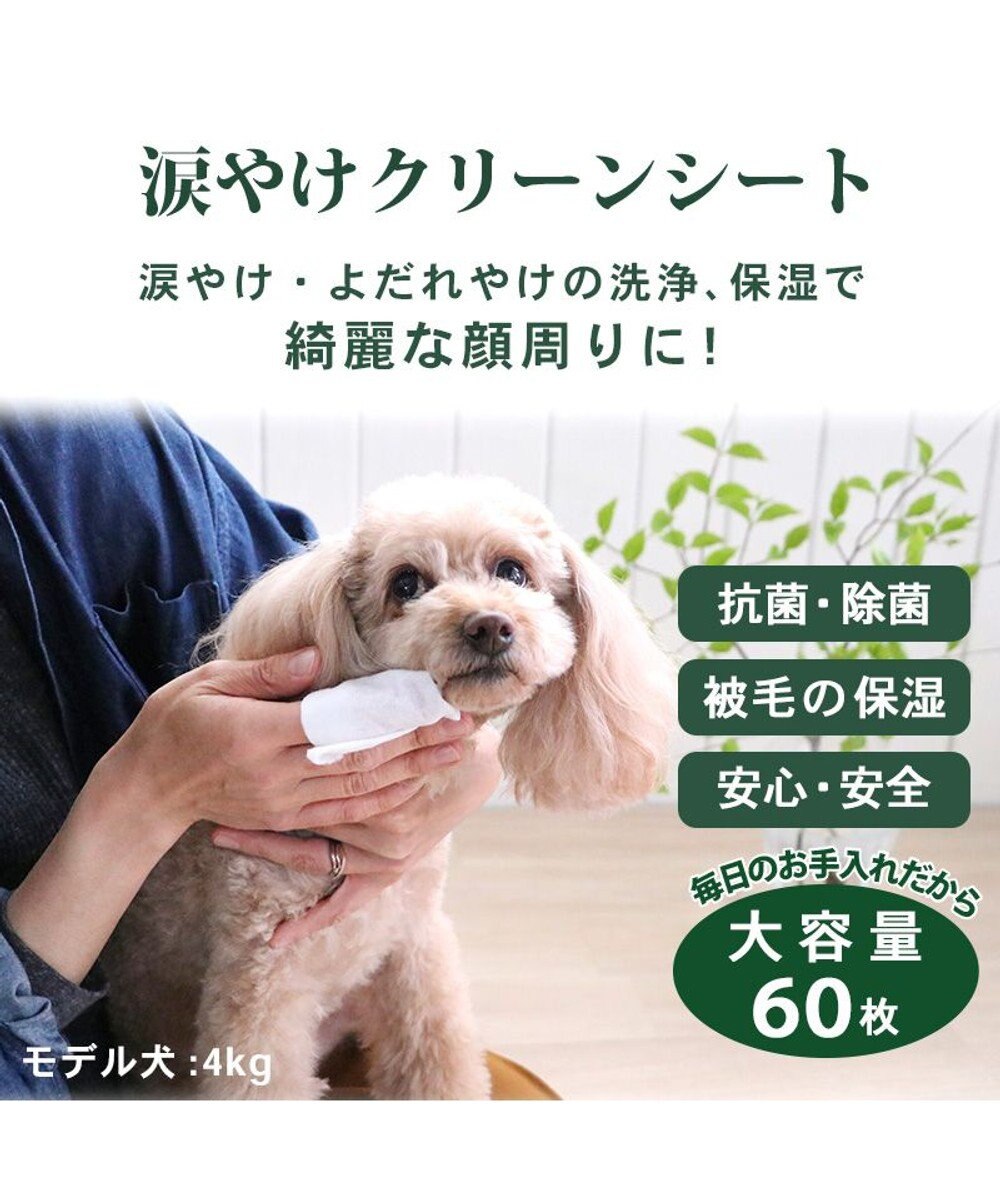 PET PARADISE ペットパラダイス ペット用 涙やけ クリーン シート （60枚入） 