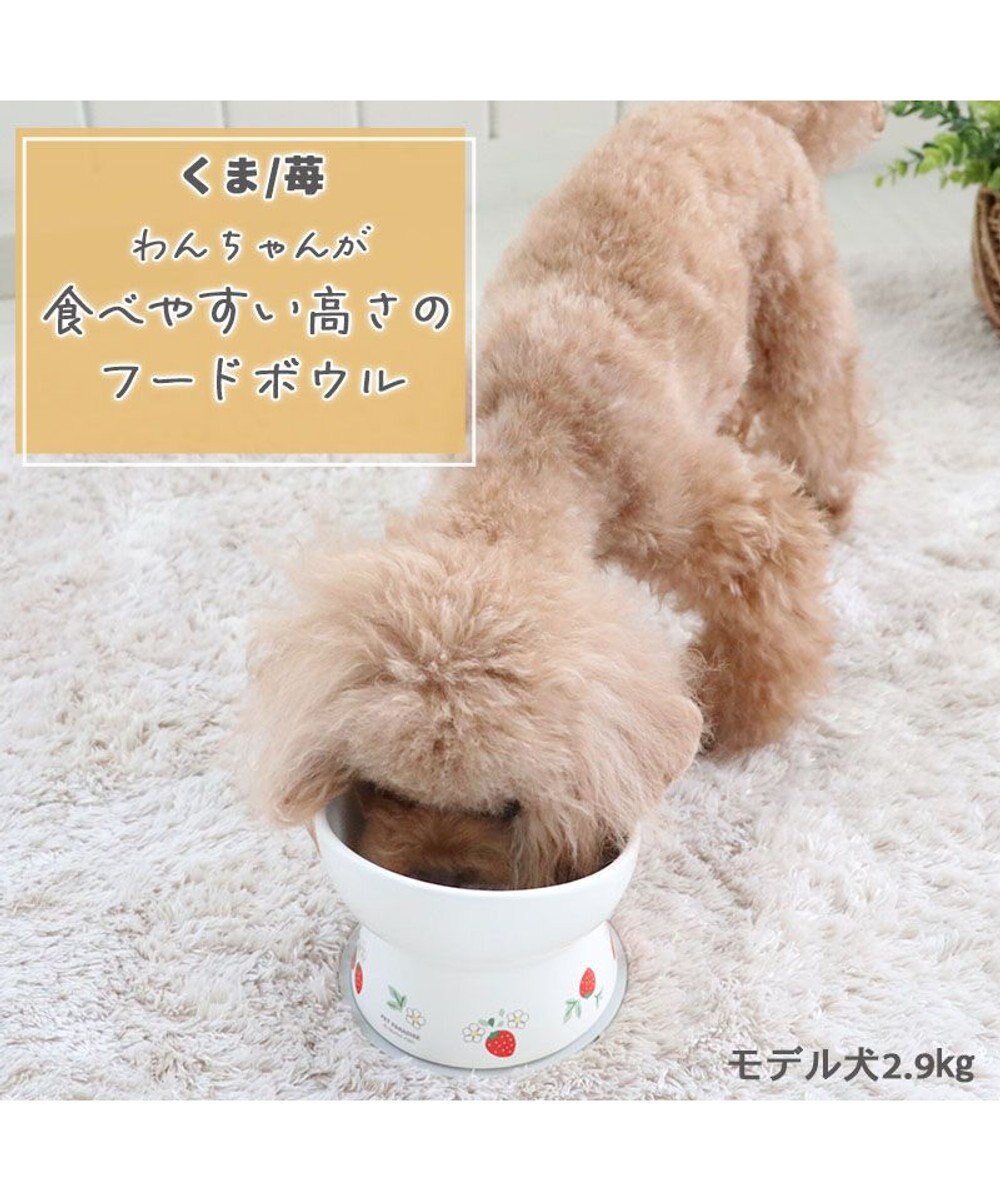 PET PARADISE 高さのある フードボウル《いちご柄 / くま柄》  陶器 