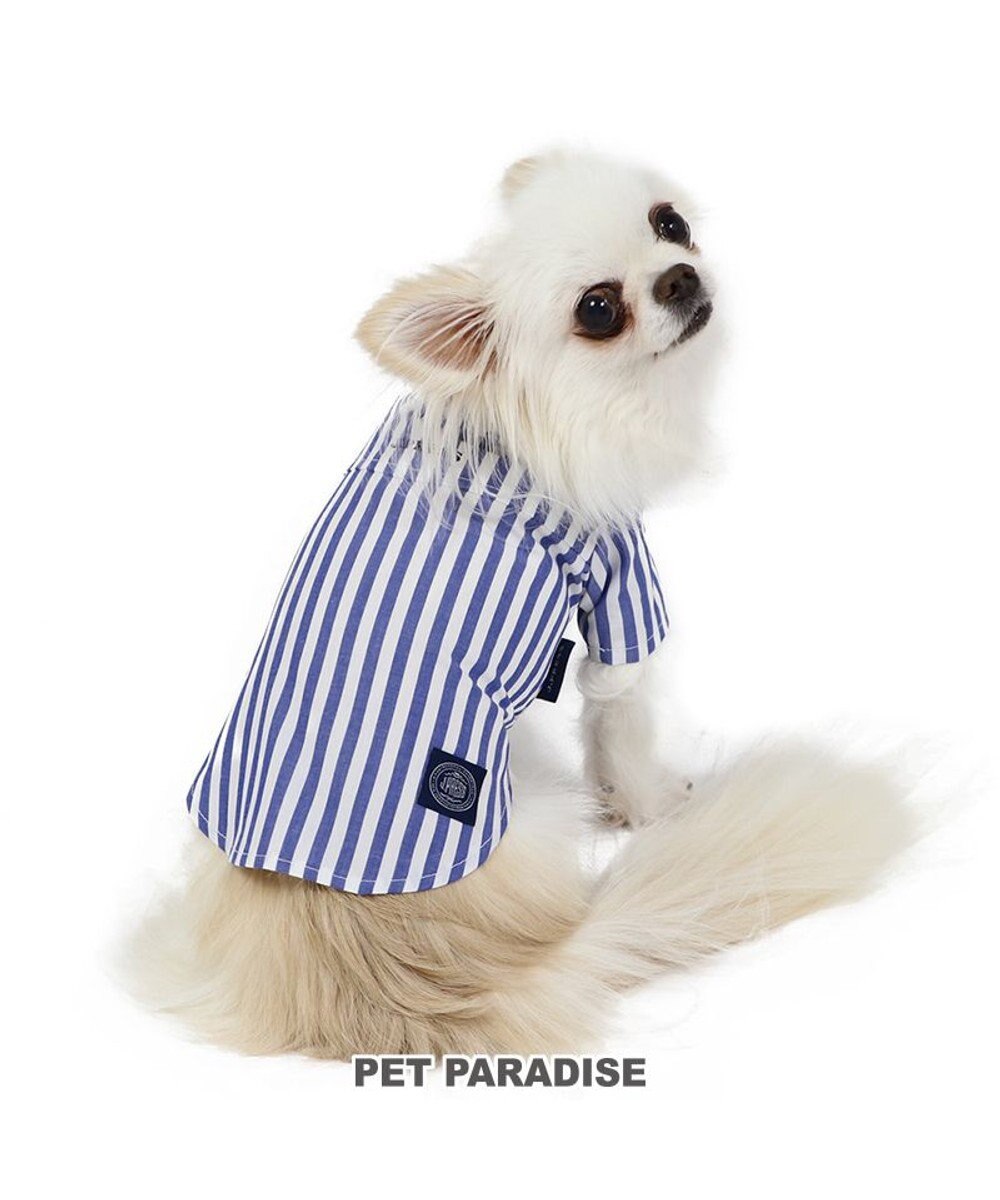 PET PARADISE 犬の服 犬 J.PRESS ストライプシャツ  【小型犬】 