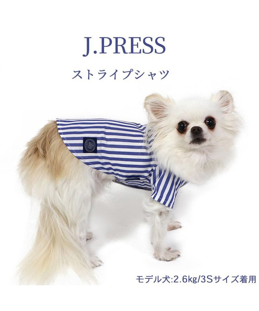 PET PARADISE 犬の服 犬 J.PRESS ストライプシャツ  【小型犬】 