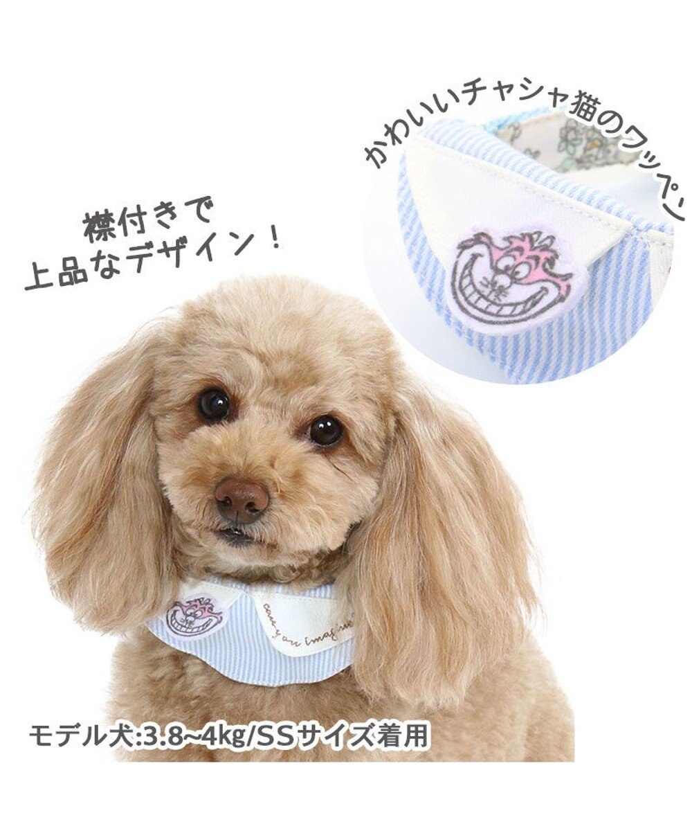PET PARADISE 犬 首輪 ディズニー ふしぎの国のアリス花柄 首輪 〔３Ｓ〕 小型犬 おさんぽ おでかけ お出掛け おしゃれ オシャレ かわいい 