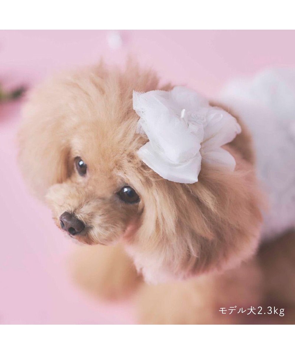PET PARADISE cherircouture リボン アクセサリー ホワイト 
