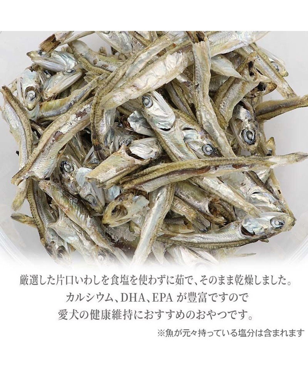 PET PARADISE 塩無添加 片口いわし 40g 国産 