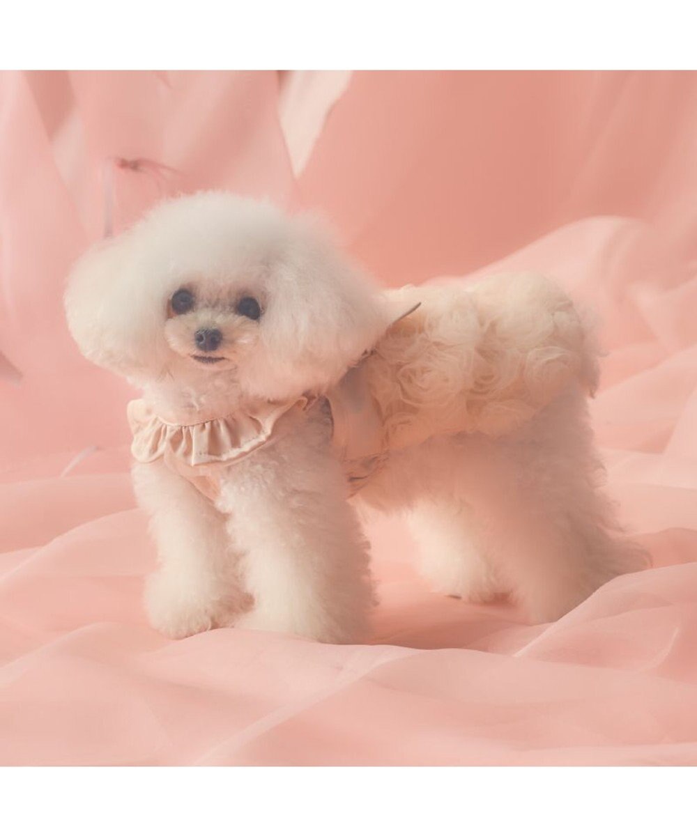 PET PARADISE cherircouture ローズチュールワンピース 《ピンク》 小型犬 