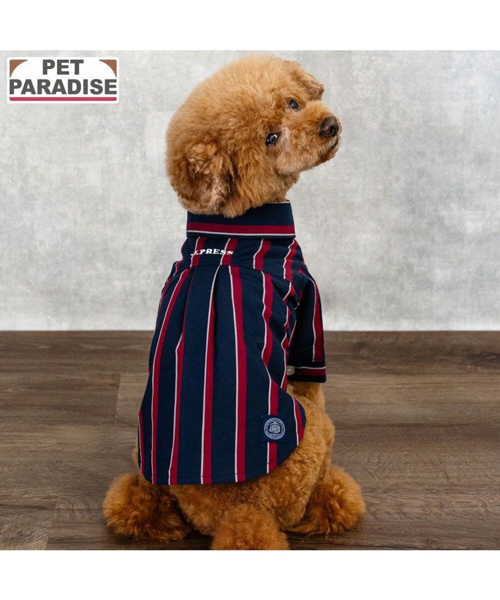 PET PARADISE J.PRESS レジメンタル シャツ 小型犬 