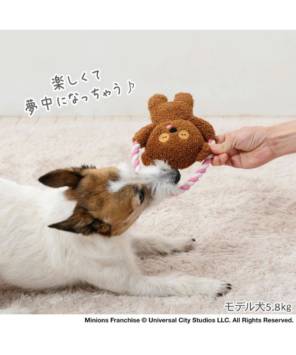 PET PARADISE ミニオン ティム ロープトイ 