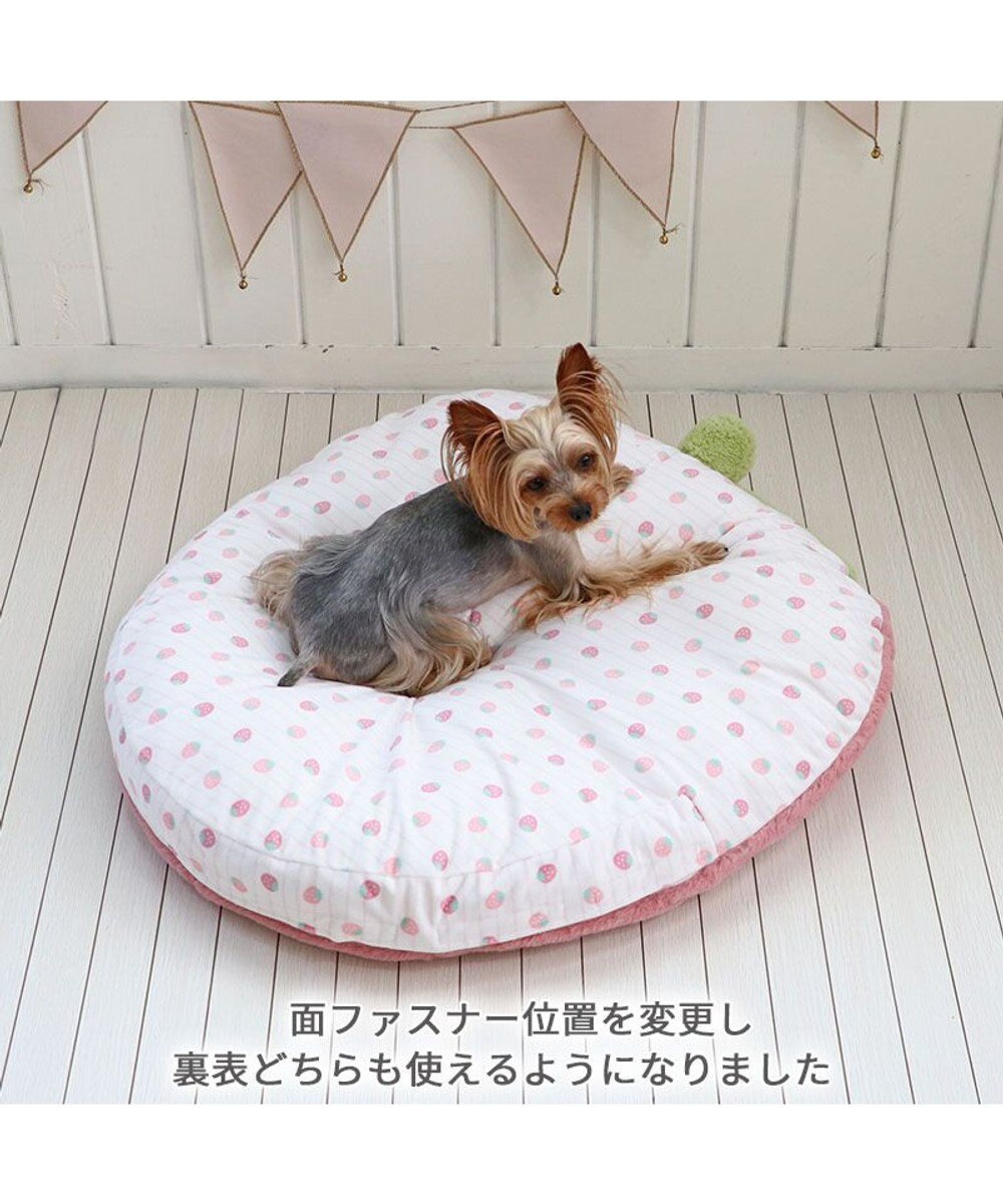 PET PARADISE ネット店限定 ペットパラダイス くすみ苺 クッション M 