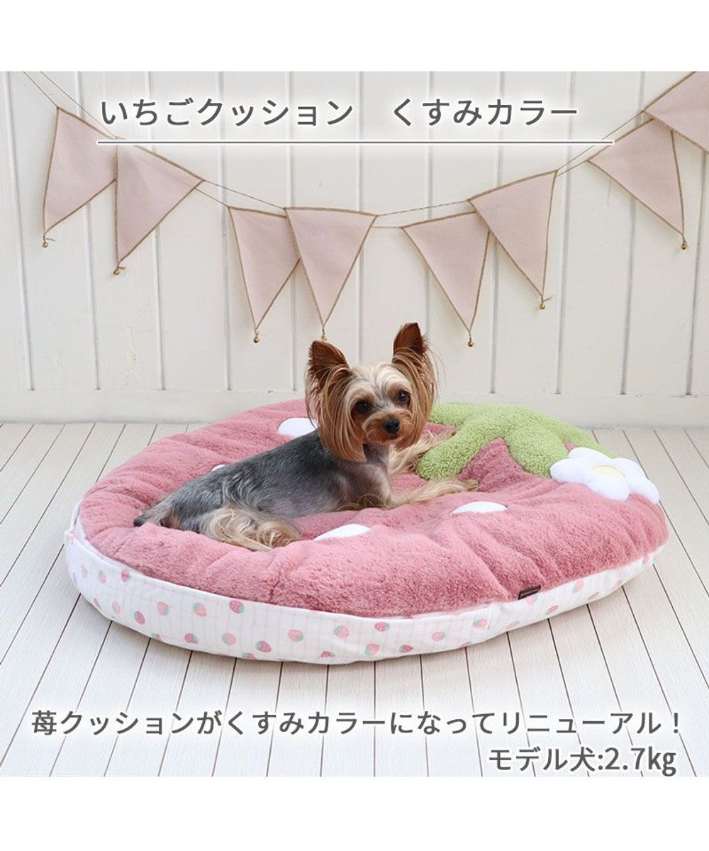 PET PARADISE ネット店限定 ペットパラダイス くすみ苺 クッション M 