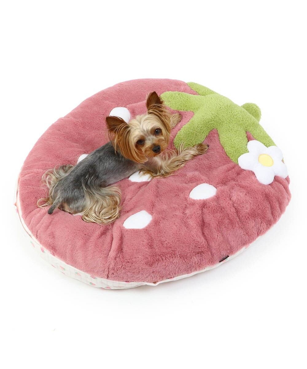 PET PARADISE ネット店限定 ペットパラダイス くすみ苺 クッション M 