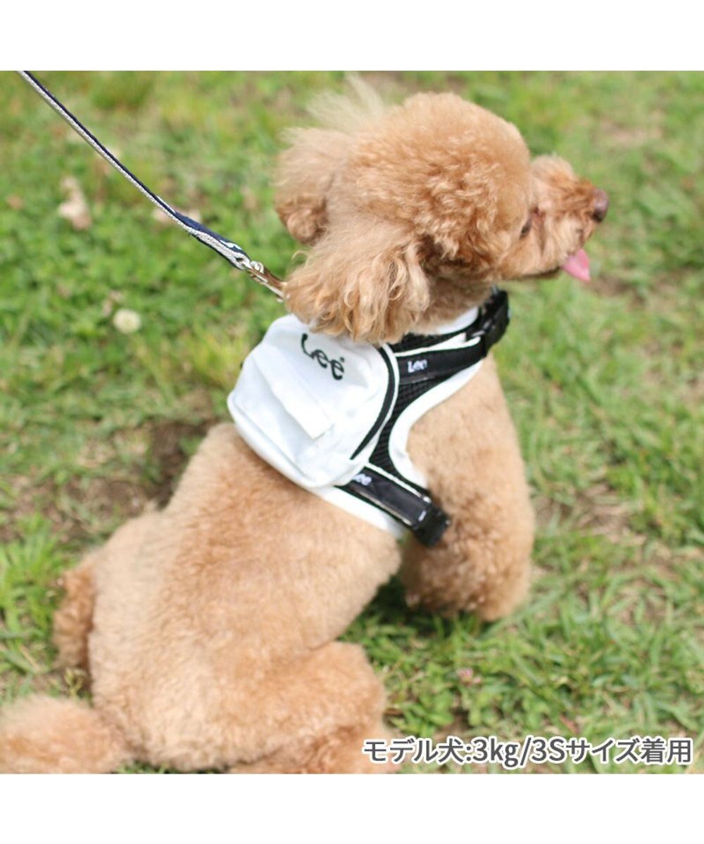 PET PARADISE Lee  ポケットハーネス ３Ｓ 小型犬 