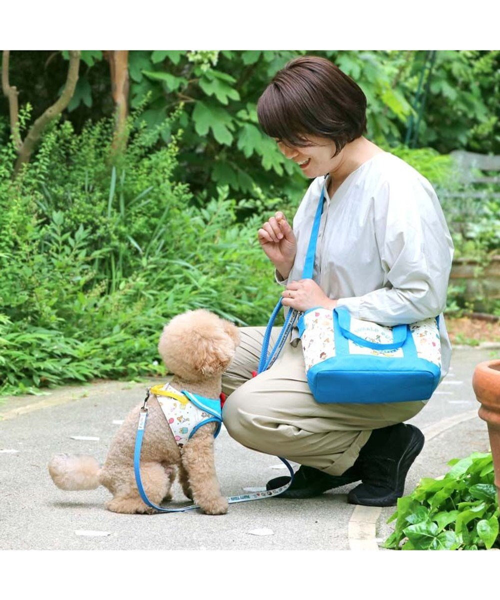 PET PARADISE ディズニー ドナルドダック 90周年 お散歩バッグ 《パーティ柄》 