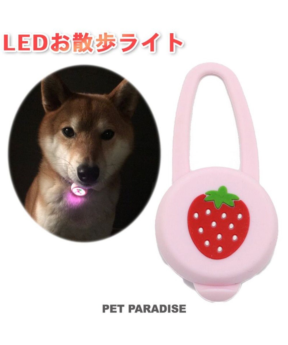 PET PARADISE ペットパラダイス 苺柄 ＬＥＤ お散歩ライト 