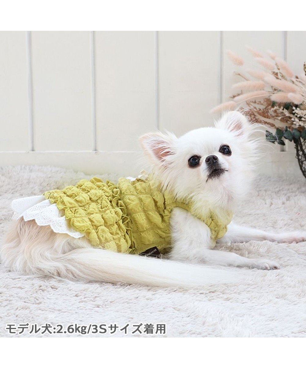 PET PARADISE ペットパラダイス ぽこぽこ ワンピース 《イエロー》 小型犬 